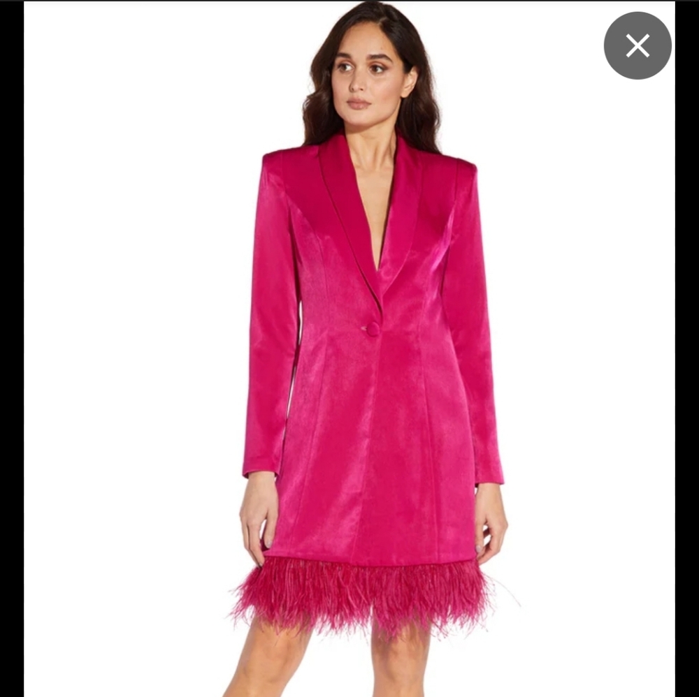 Adrianna Papell Pink Feather Trim Long Sleeve Dress